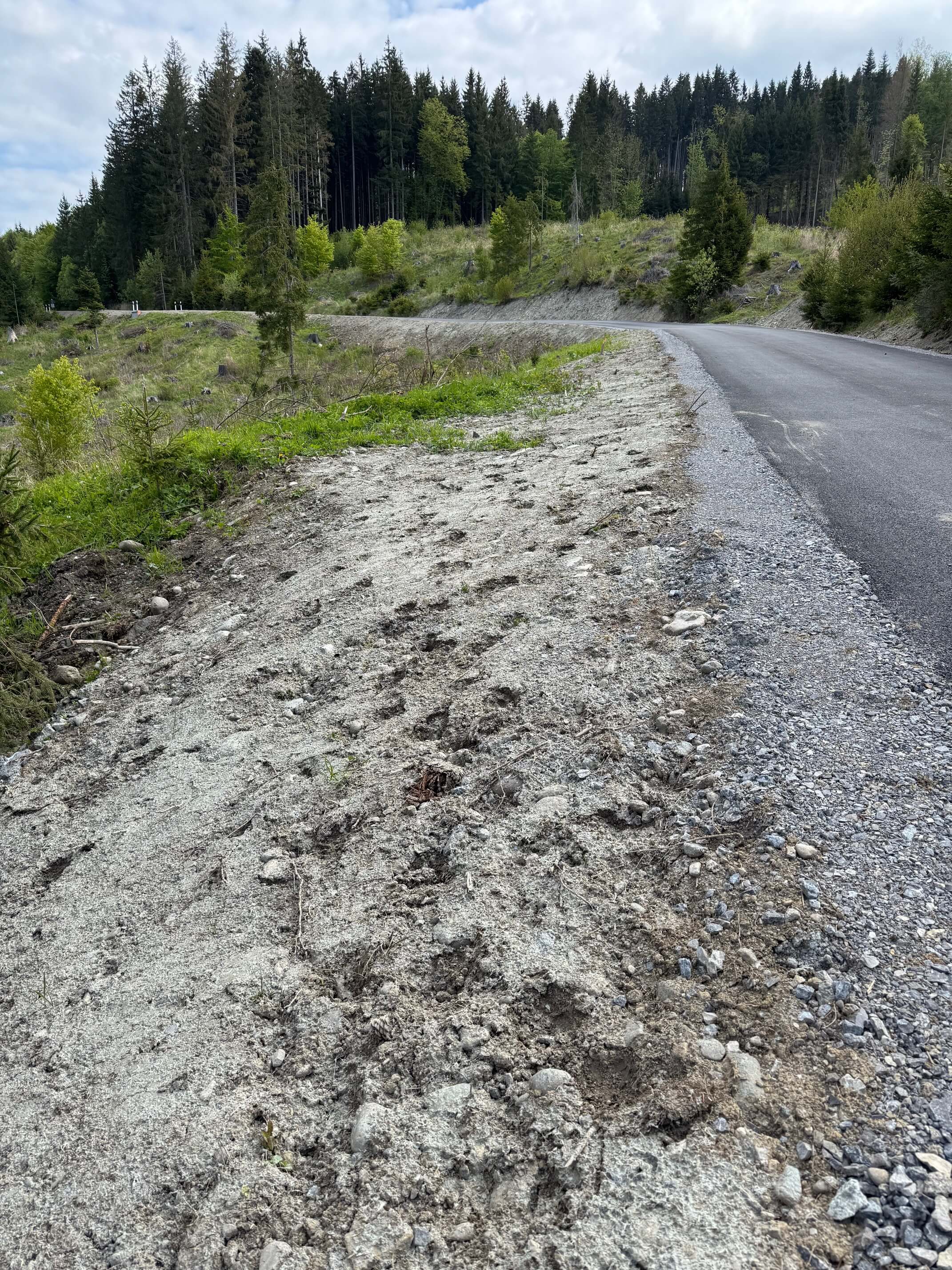 Hydroosev a spevňovanie svahu