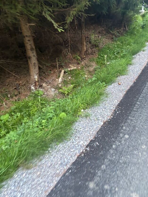 Hydroosev a spevňovanie svahu