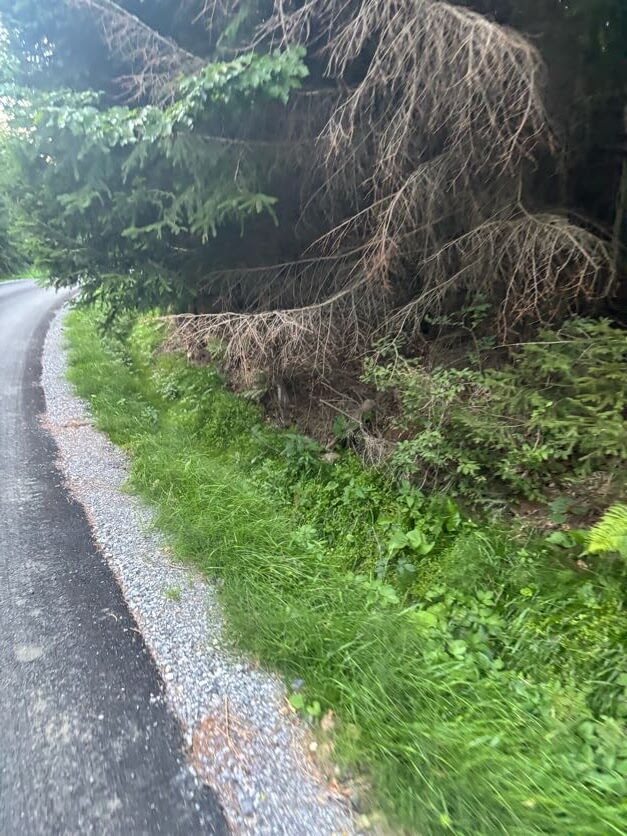 Hydroosev a spevňovanie svahu