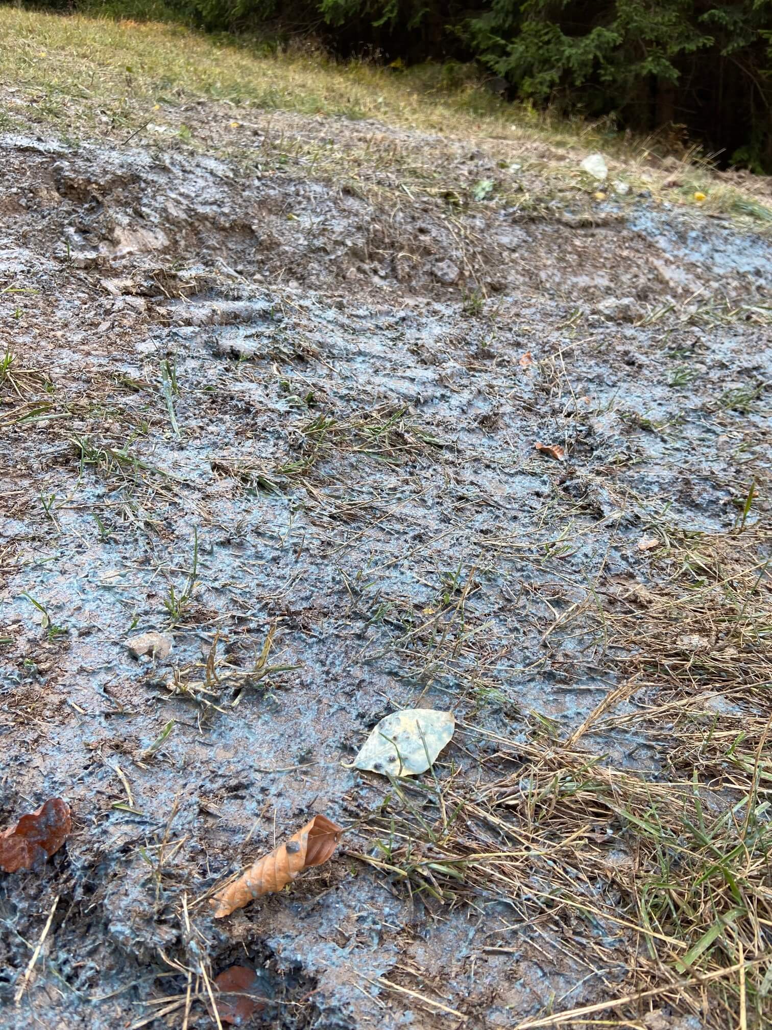 Hydroosev a spevňovanie svahu