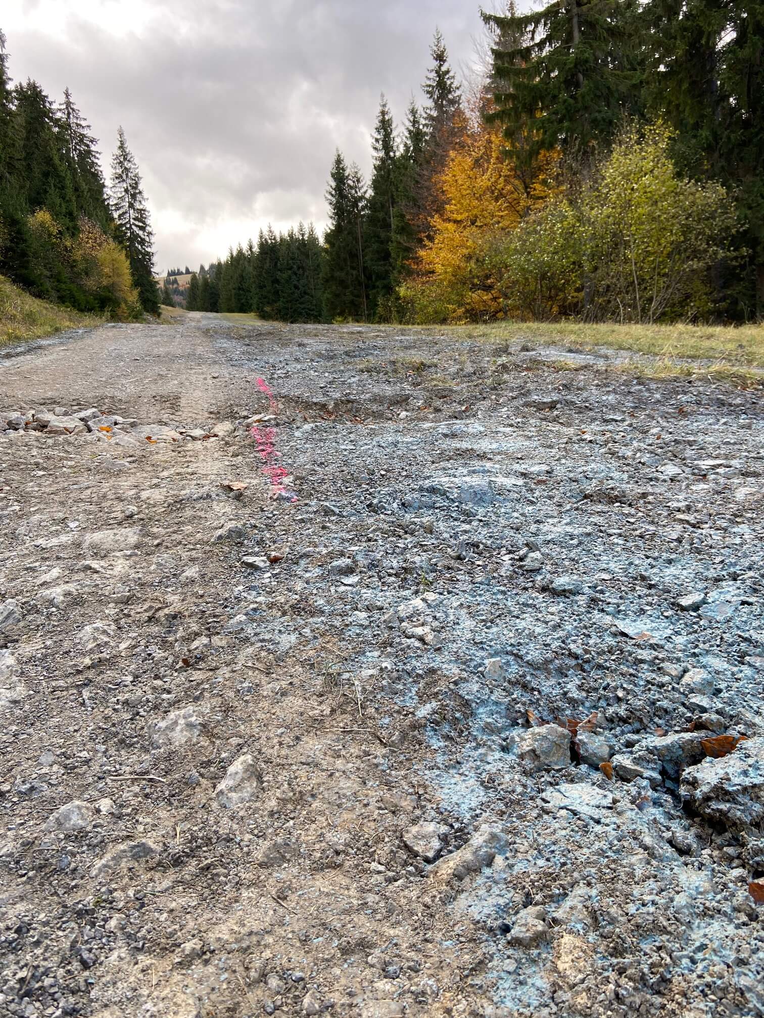Hydroosev a spevňovanie svahu