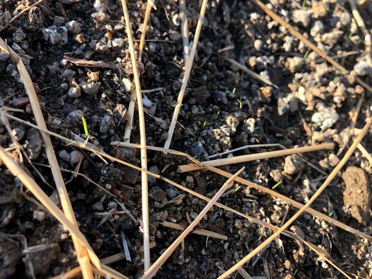 Lyžiarske stredisko Jasná